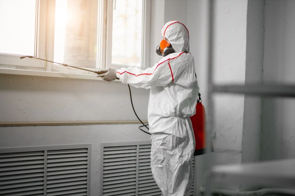 Professional mold remediation services in Rogers, CT